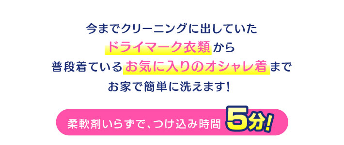 家事助洗濯の達人